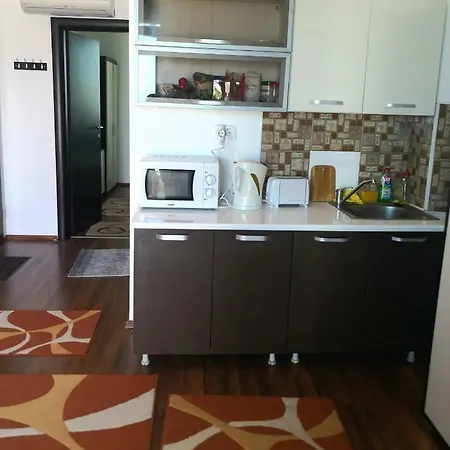 Apartament De Vacanta Apolonia אפורי נורד